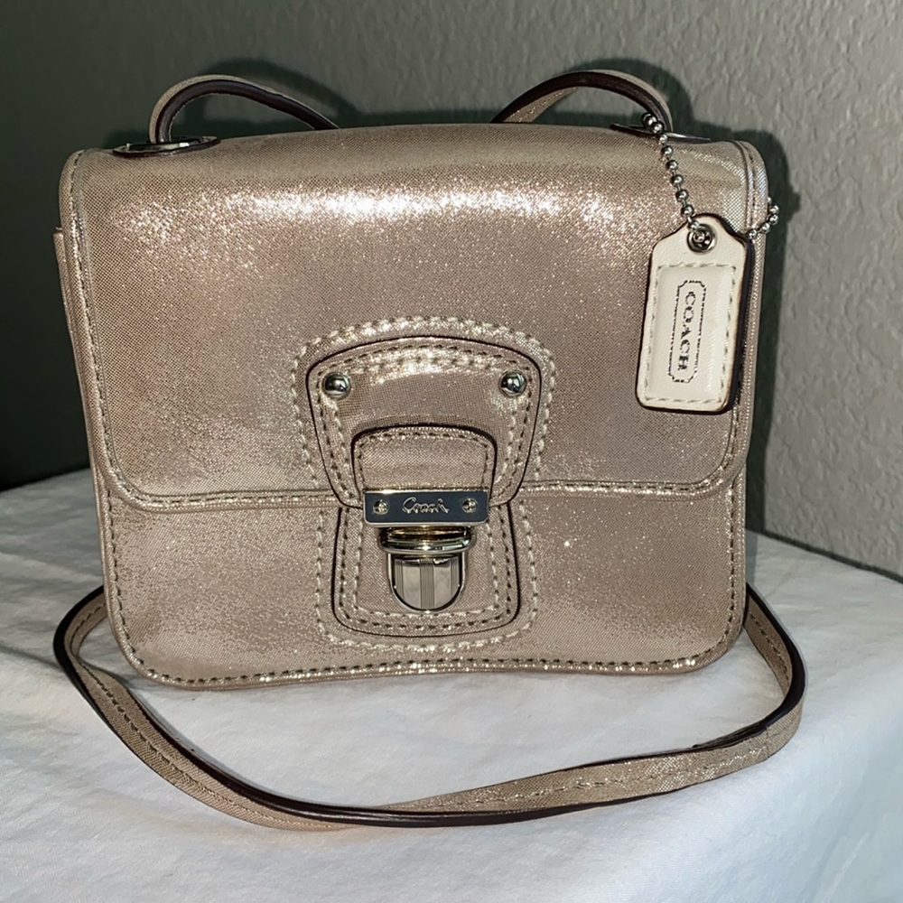Coach Metallic Leather Bag